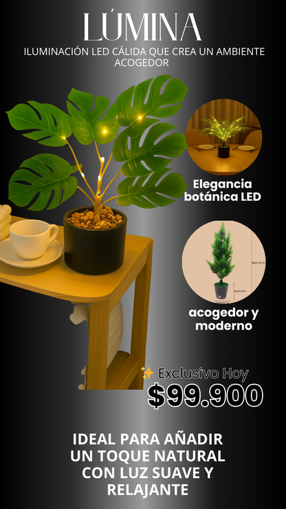 Árbol Lúmina